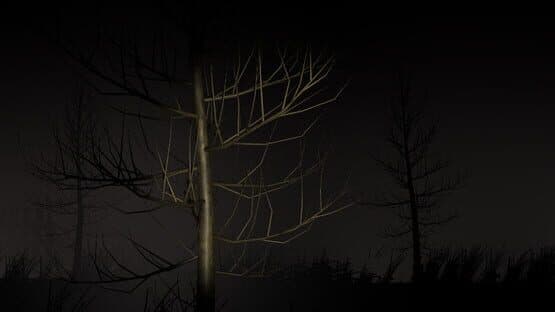 Mysterious Night: The First Night — screenshot 1