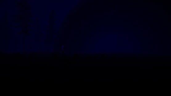 Slender: The Eight Pages - Remake — screenshot 2