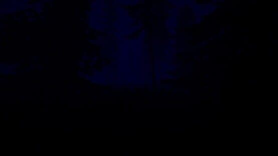 Slender: The Eight Pages - Remake — screenshot 6