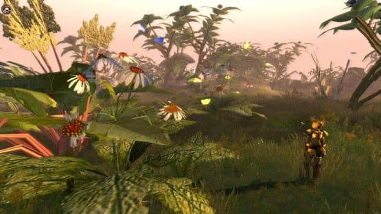 The Eye of the Goddess — screenshot 1
