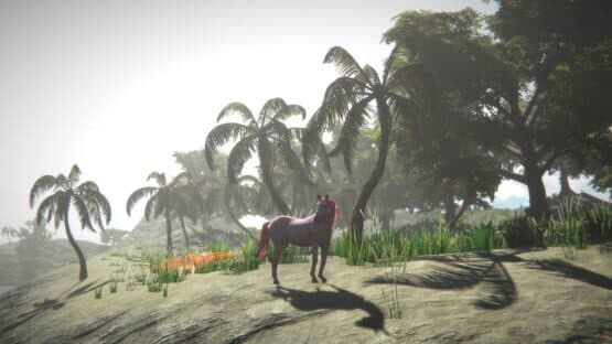 Horse and Go Seek — screenshot 1