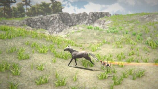 Horse and Go Seek — screenshot 4