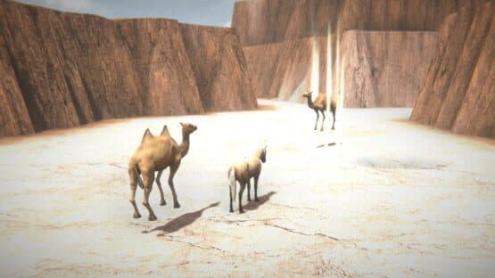 Horse and Go Seek — screenshot 5