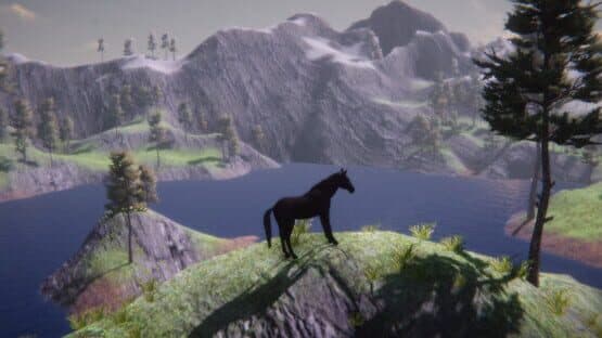 Horse and Go Seek — screenshot 7