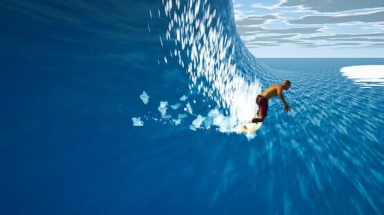 The Endless Summer Surfing Challenge — screenshot 5