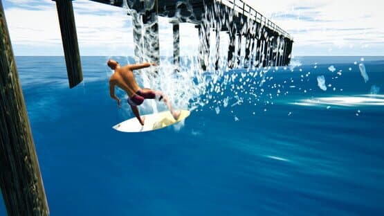 The Endless Summer Surfing Challenge — screenshot 7