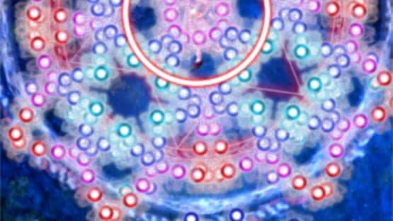 Touhou Thousand Night Anamnesis — screenshot 1