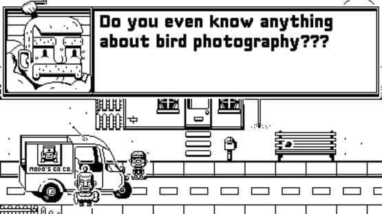 Casual Birder — screenshot 1