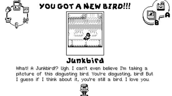 Casual Birder — screenshot 3