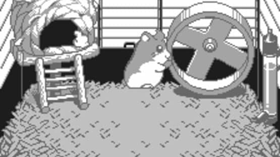 Dokodemo Hamster — screenshot 1