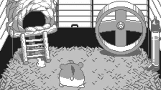 Dokodemo Hamster — screenshot 3