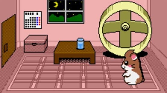 Dokodemo Hamster 3: O Dekake Safuran — screenshot 1