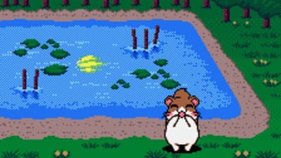 Dokodemo Hamster 3: O Dekake Safuran — screenshot 3