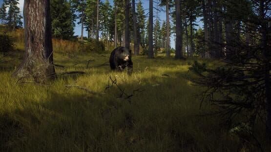 Way of the Hunter — screenshot 3