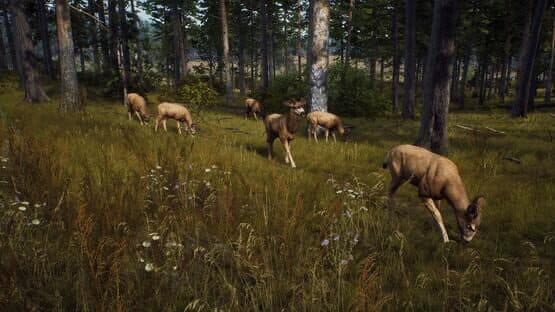 Way of the Hunter — screenshot 4