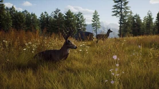 Way of the Hunter — screenshot 5