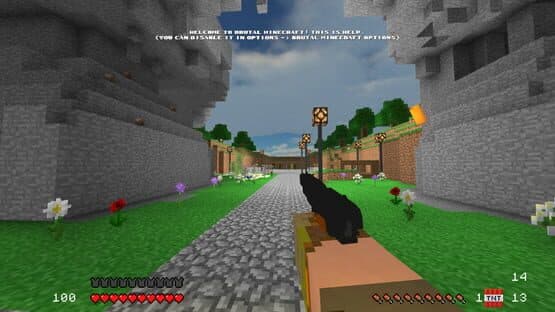 Brutal Minecraft Eternal — screenshot 2