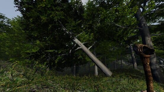Forlorn — screenshot 4