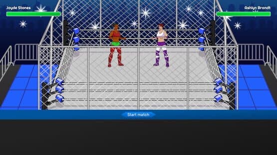 Championship Wrestling Promoter — screenshot 5