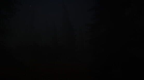 Taiga — screenshot 5