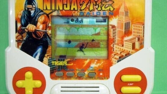 Ninja Gaiden — screenshot 1