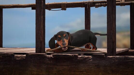 The Lost Dachshund — screenshot 8
