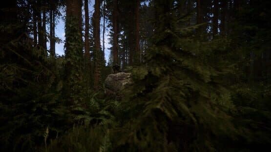 Sons of the Forest — screenshot 4