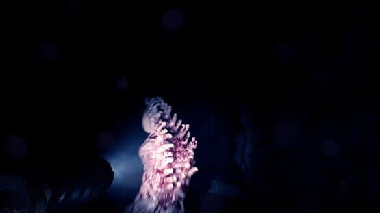 Sons of the Forest — screenshot 7