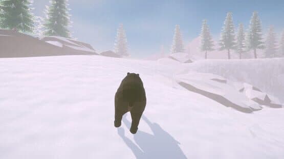 Cold Land — screenshot 7