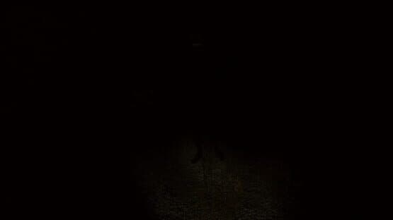 Sciophobia: The Fear of Shadows — screenshot 5