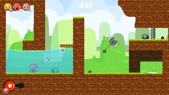 Cool Animals — screenshot 2