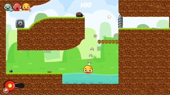 Cool Animals — screenshot 5
