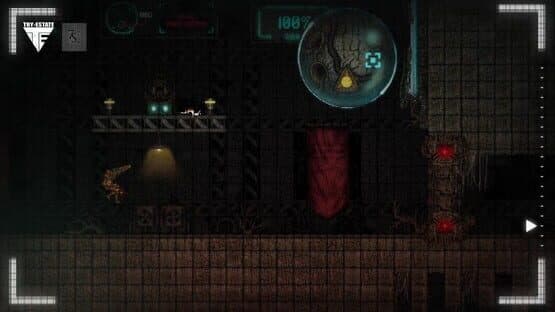 The 7th Sign Project — screenshot 1
