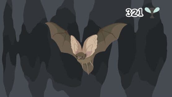 The Bat D — screenshot 2