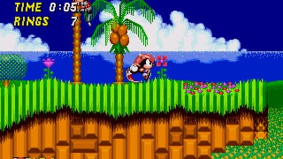Mighty & Ray in Sonic the Hedgehog 2 — screenshot 2