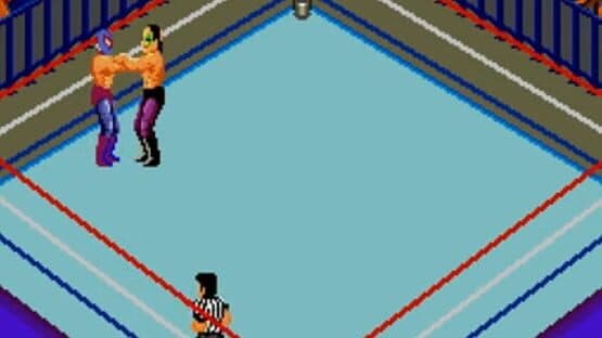 Fire Pro Wrestling: Combination Tag — screenshot 2