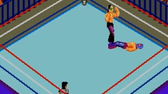 Fire Pro Wrestling: Combination Tag — screenshot 3