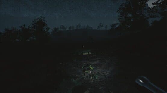 Tales From Hoia Baciu Forest — screenshot 5
