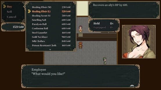 Twin Blades of the Three Kingdoms — screenshot 5