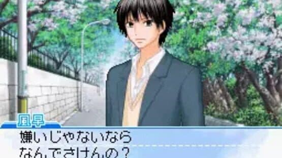 Kimi ni Todoke: Sodateru Omoi — screenshot 1