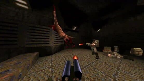 Quake: Realms of Tiddles — screenshot 1