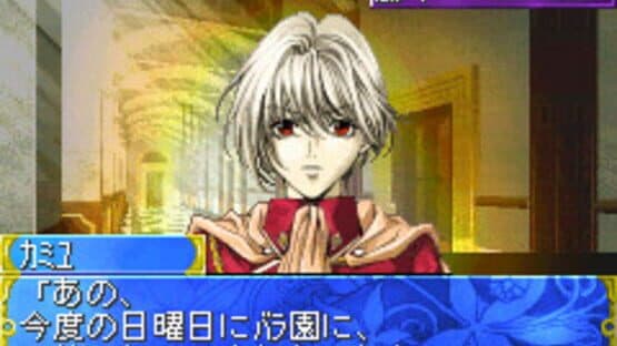 Tanbi Musou: Meine Liebe — screenshot 1