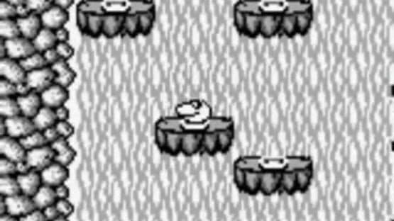 Sneaky Snakes — screenshot 2