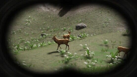 Russian Hunter — screenshot 2