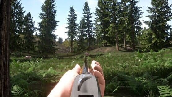 Russian Hunter — screenshot 5