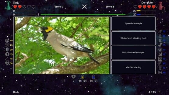 I've Seen Everything: Birds — screenshot 3