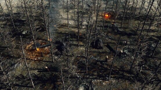Call to Arms: Gates of Hell - Talvisota — screenshot 4