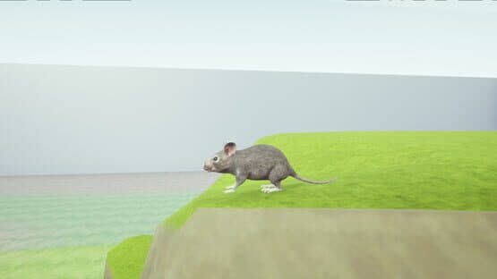 Rat Memory — screenshot 1