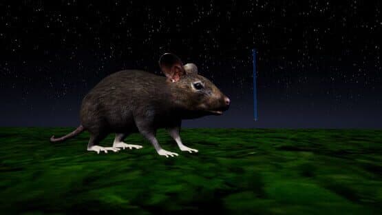 Rat Memory — screenshot 2
