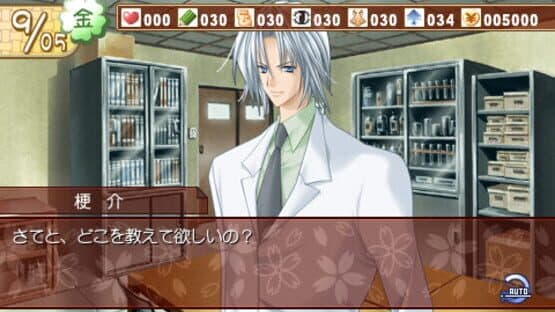 Cherry Blossom Portable — screenshot 6